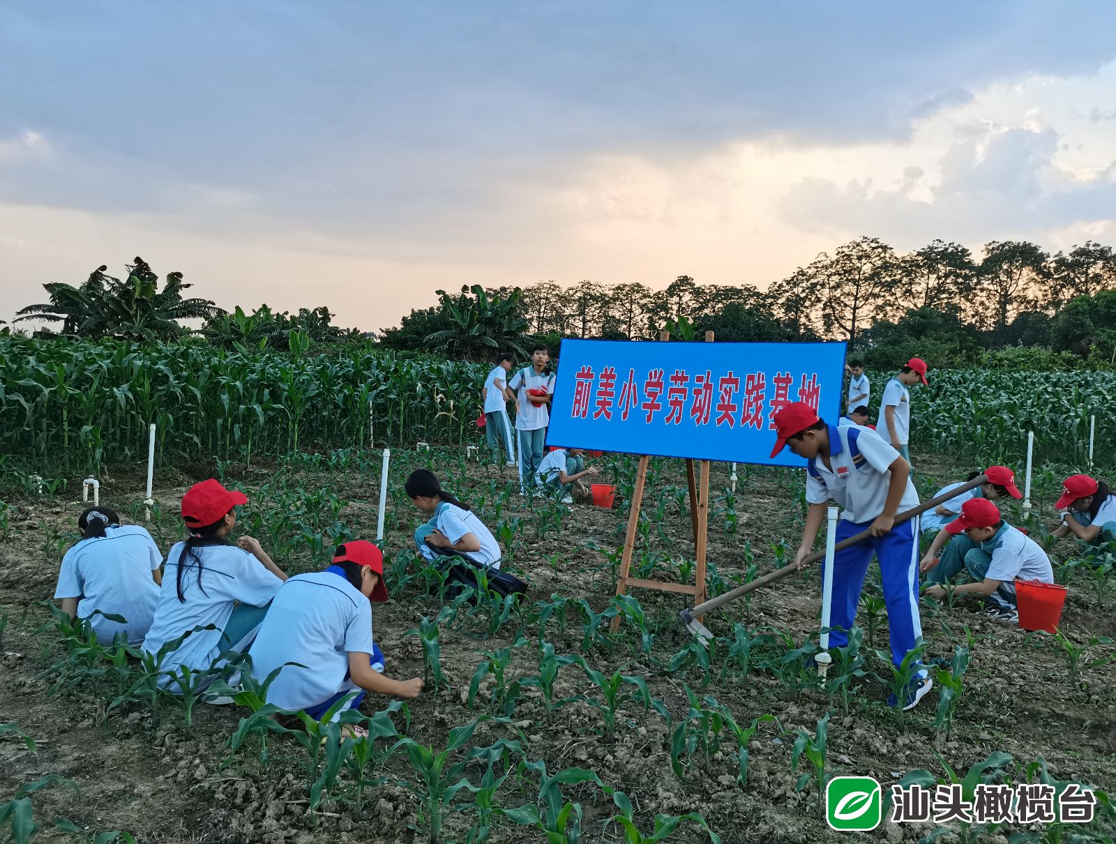 打造教育新高地的实施意见,崛起优质教育高地