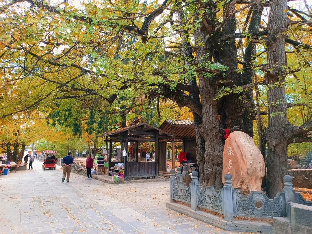 腾冲县地图在云南的哪个位置,腾冲边境地图