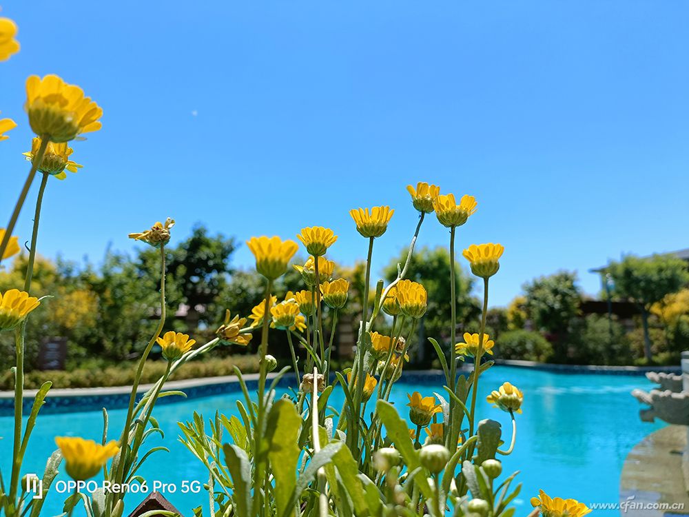 opporeno6pro夏日星河入梦,opporeno6pro夏日晴海渐变色