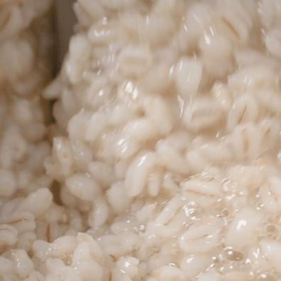 OMG，CoCo青稞家族来了！冬季限定款，买它，还有DIY分享会等你