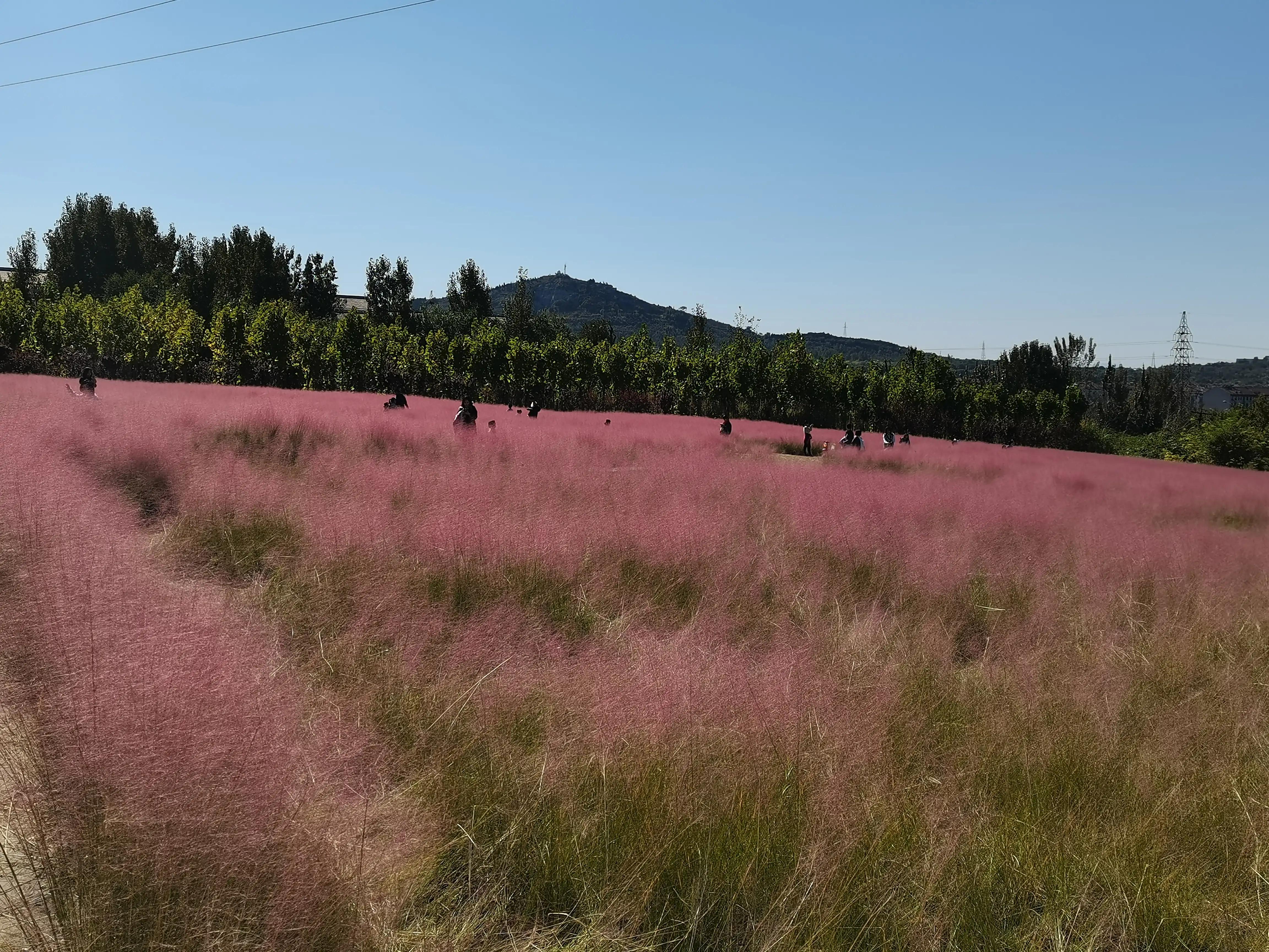 金秋十月登上山顶看美景,花山国家森林公园游记