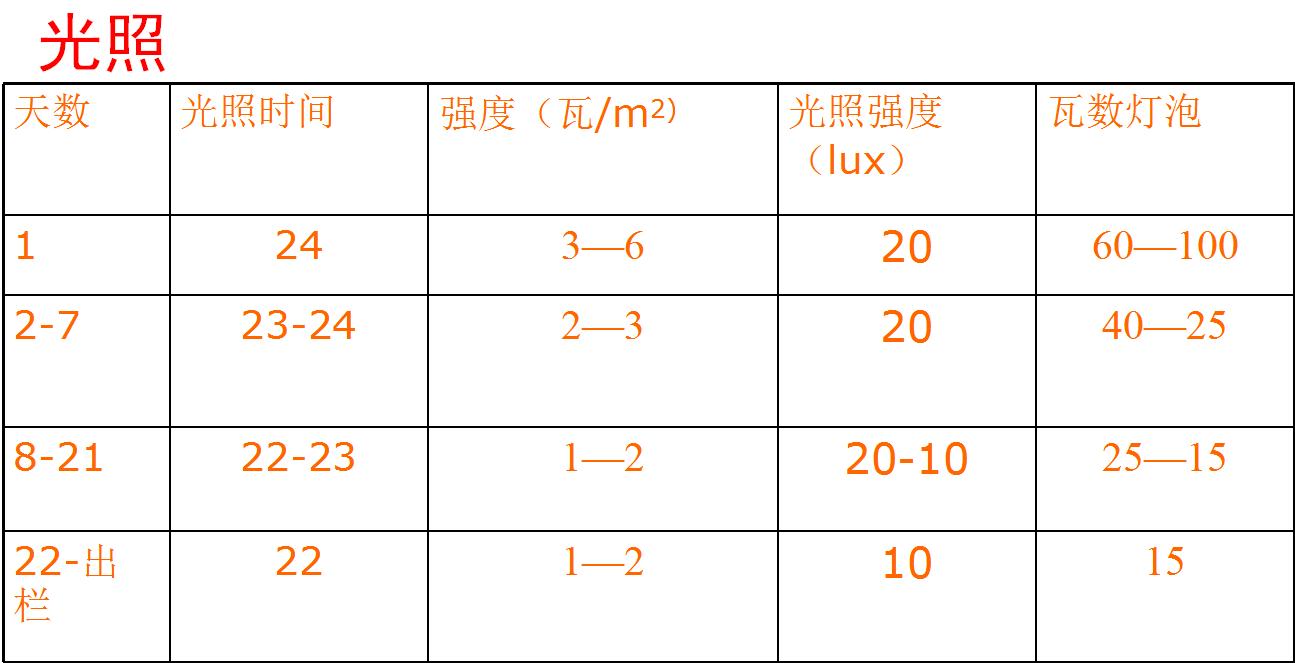 肉鸡各阶段预防关键点,肉鸡怎么控料后期降低鸡死亡率