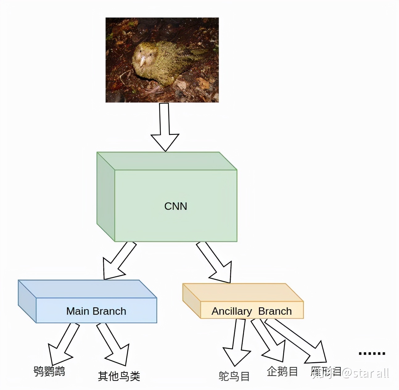 如何讲解模型,模型先验符号怎么确定