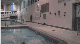 手机进水了用什么软件排除,手机进水有什么软件可以解决