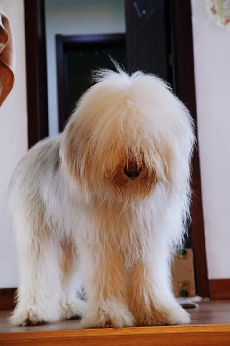 单反快速入门索尼,单反自动挡是哪个