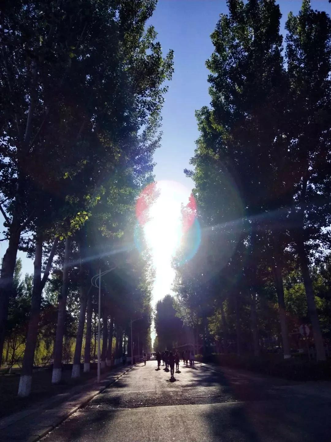 天津市独立院校（四）天津财经大学珠江学院