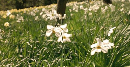 心情不好的时候闻闻香水味,心情不好的时候闻香水