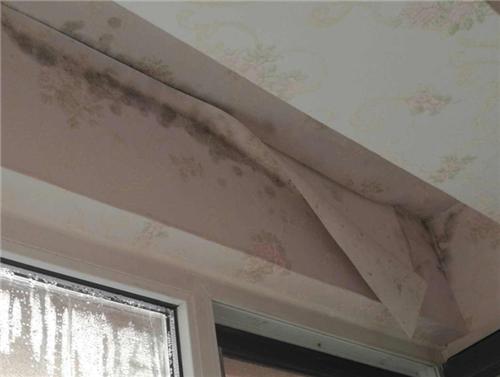 农村房顶漏水修补方法经济划算,房顶漏水补漏在什么温度下最好