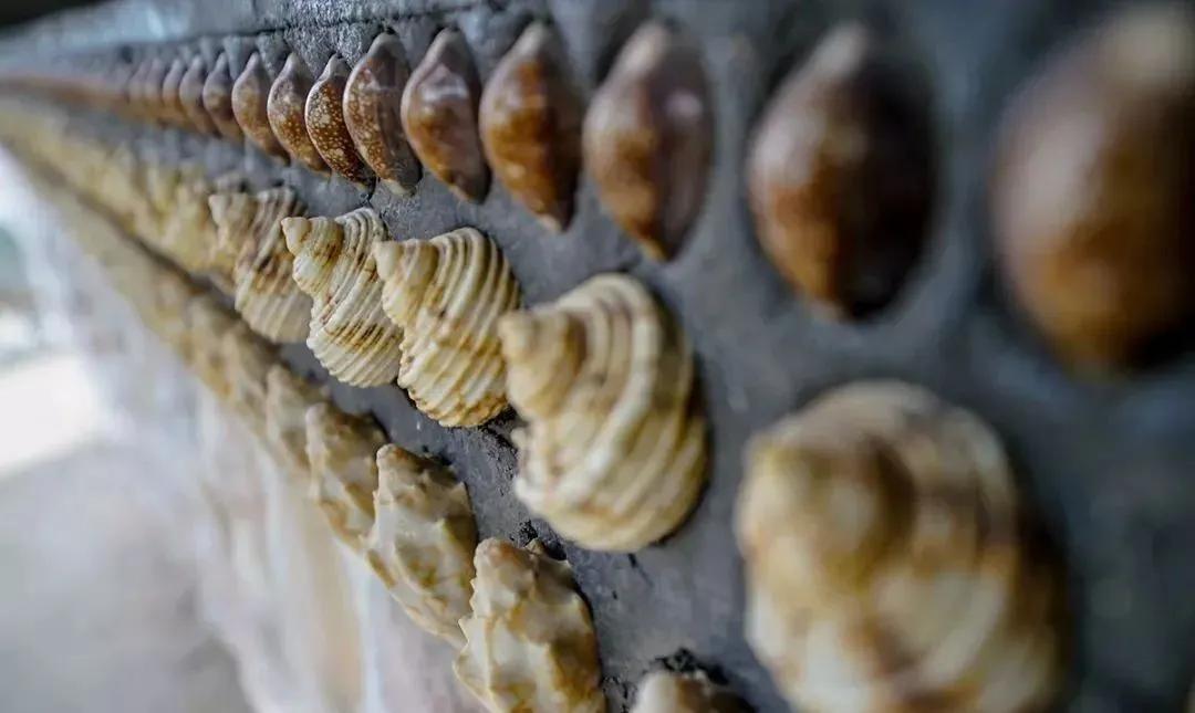 山东大爷捡100万贝壳造楼完整版,山东大爷拿起1000万金砖视频