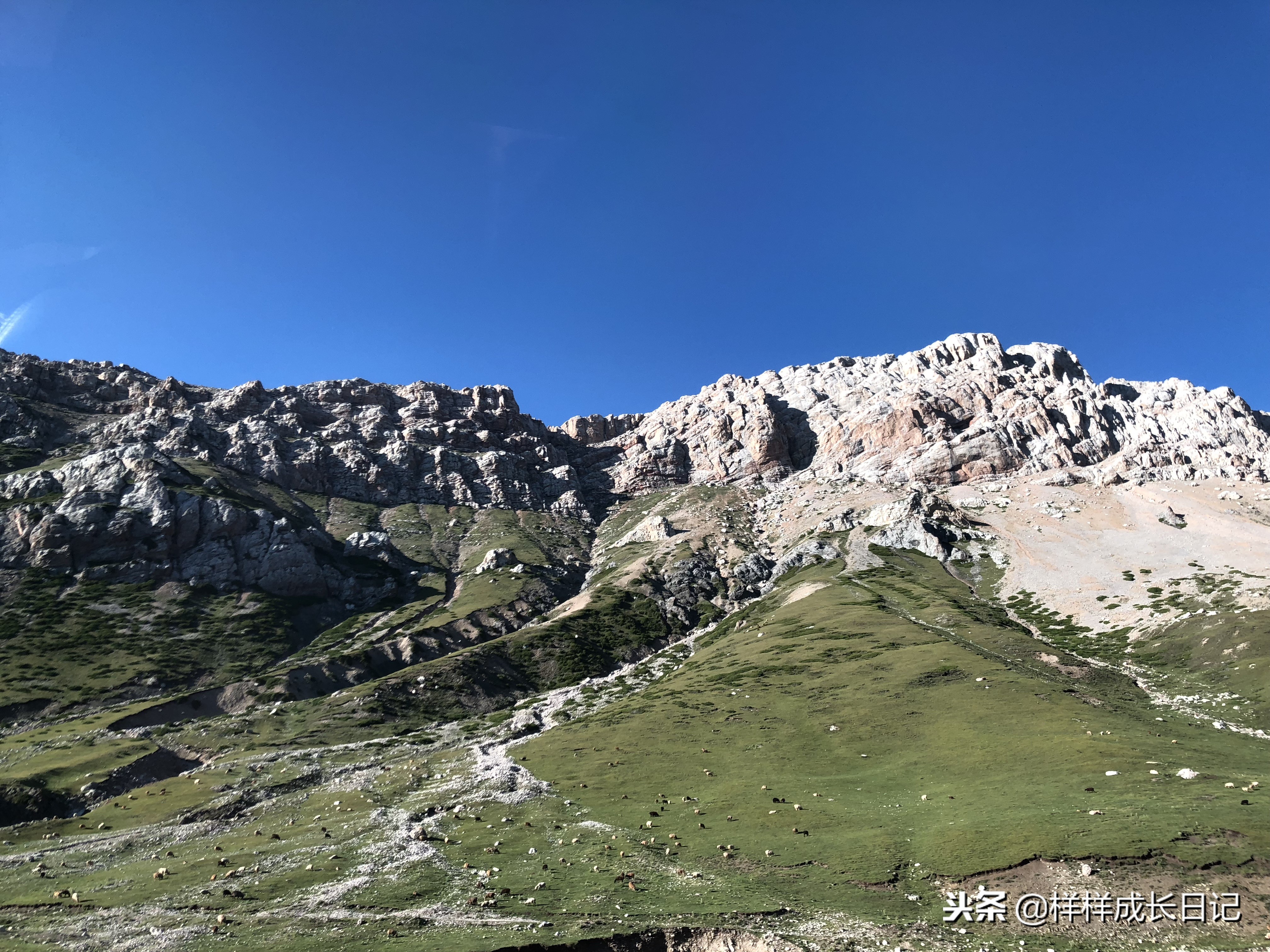 一家三口新疆伊犁旅游,自驾游霍尔果斯路线攻略