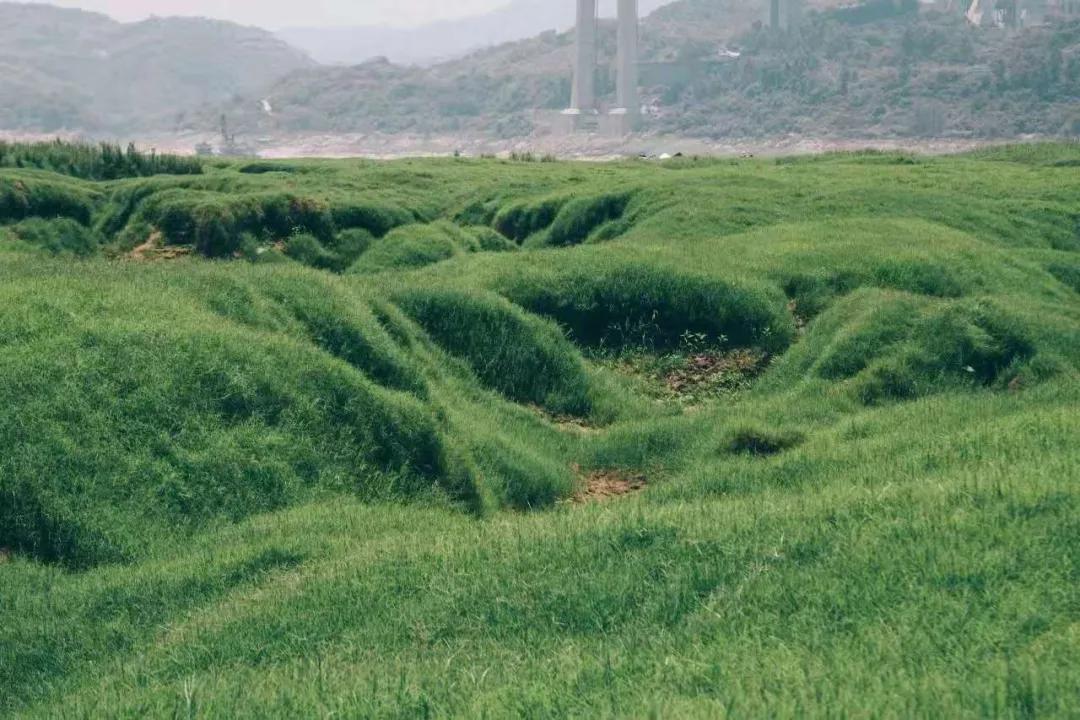 重庆露营耍水野炊地推荐,重庆耍水的地方推荐