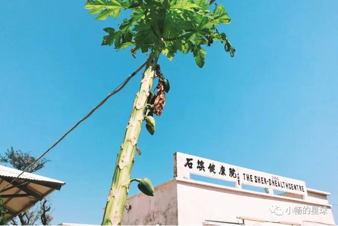 看完《喜宝》被气死，顶级富豪们最爱住的石澳道究竟是啥样？