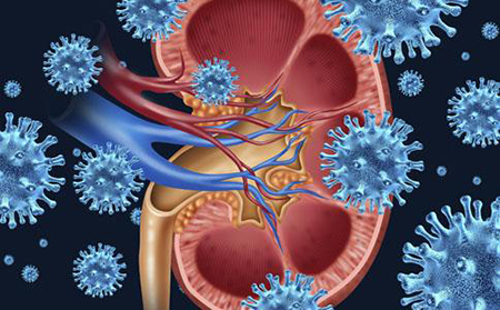 过敏性紫癜能不能吃干果类型的,过敏性紫癜的正确治疗方法是什么