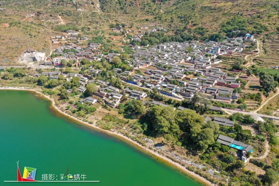 土蜂蜜的取蜜全过程,土蜂蜜取蜜全过程记录