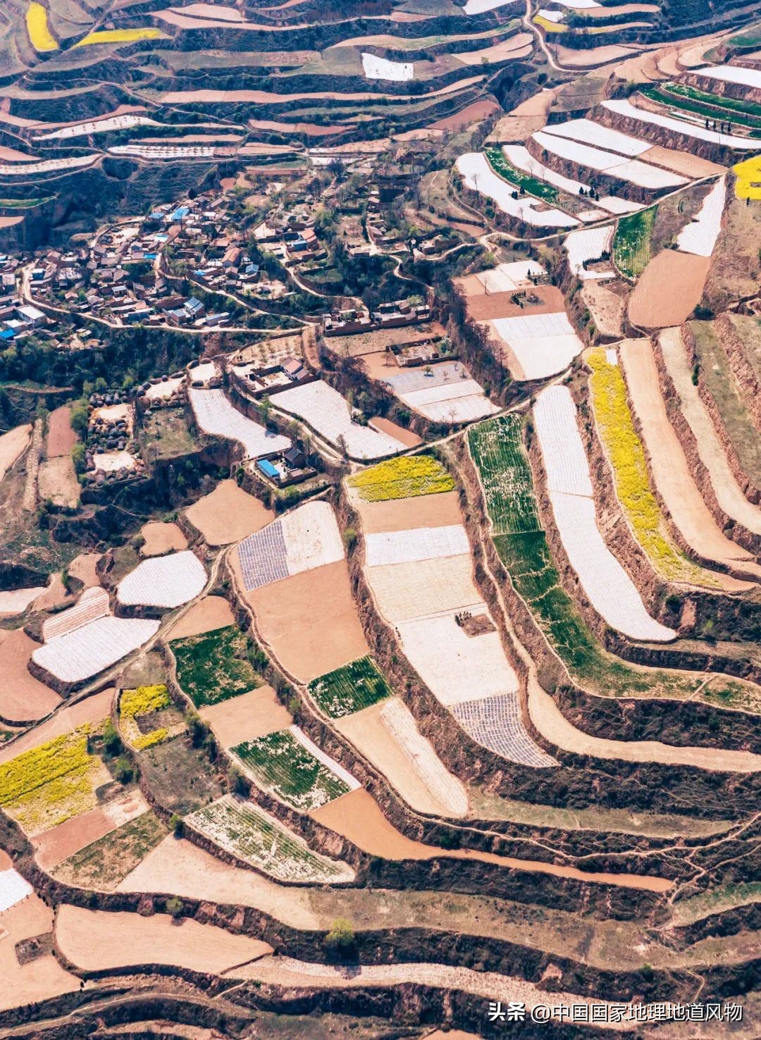 中国薯都地址在哪里,中国薯都为什么是定西