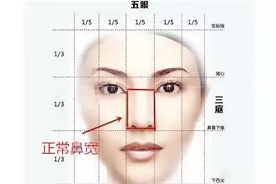 鼻翼缩小内缩和外缩的区别,鼻头缩小和鼻翼缩小是一个手术吗