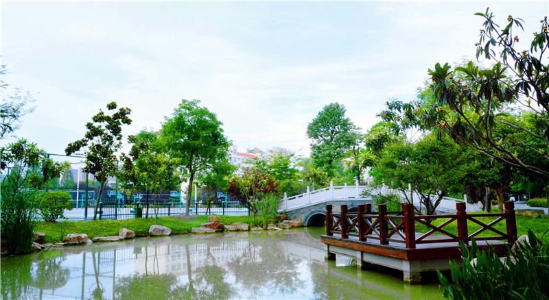 江苏省泗洪中学高考,江苏省泗洪中学在哪