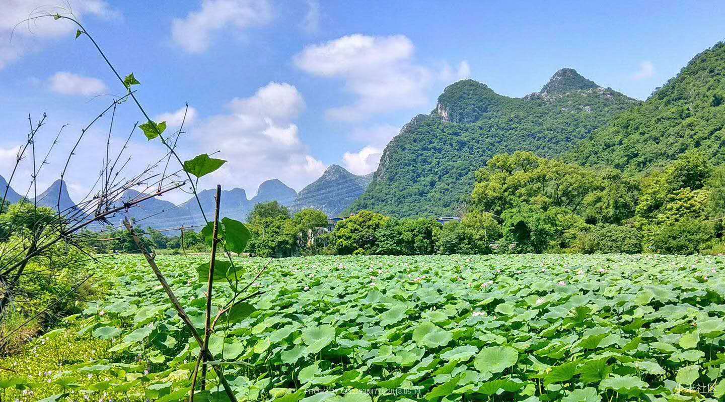 一位农民作家眼中的乡村变迁,一个老农眼中的春晚