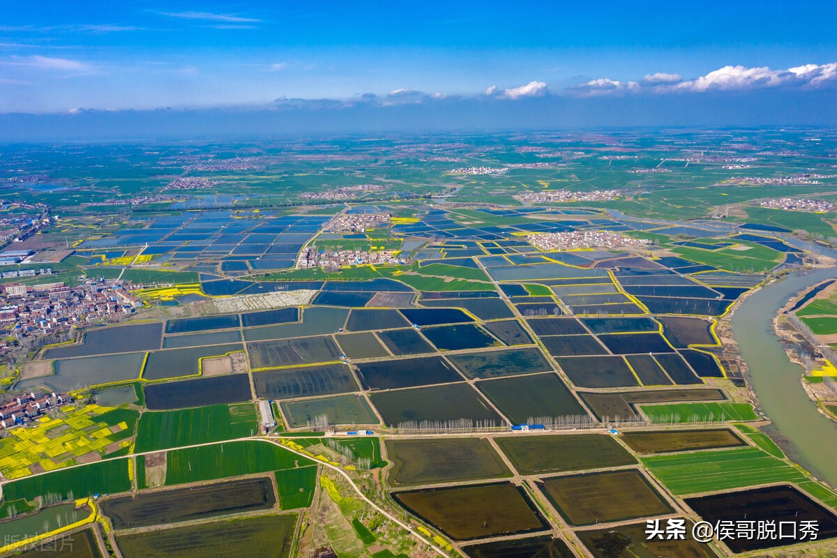乡村振兴最有前景的九大产业,乡村振兴搞什么项目能挣钱