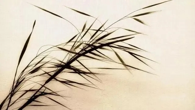 中国古代丝绸纹样手绘及寓意,丝绸手绘隔离胶制作