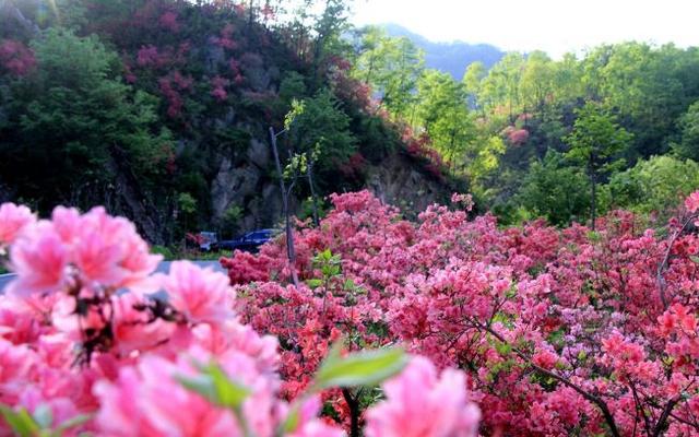 西泰山是什么样的,西泰山为啥叫西泰山