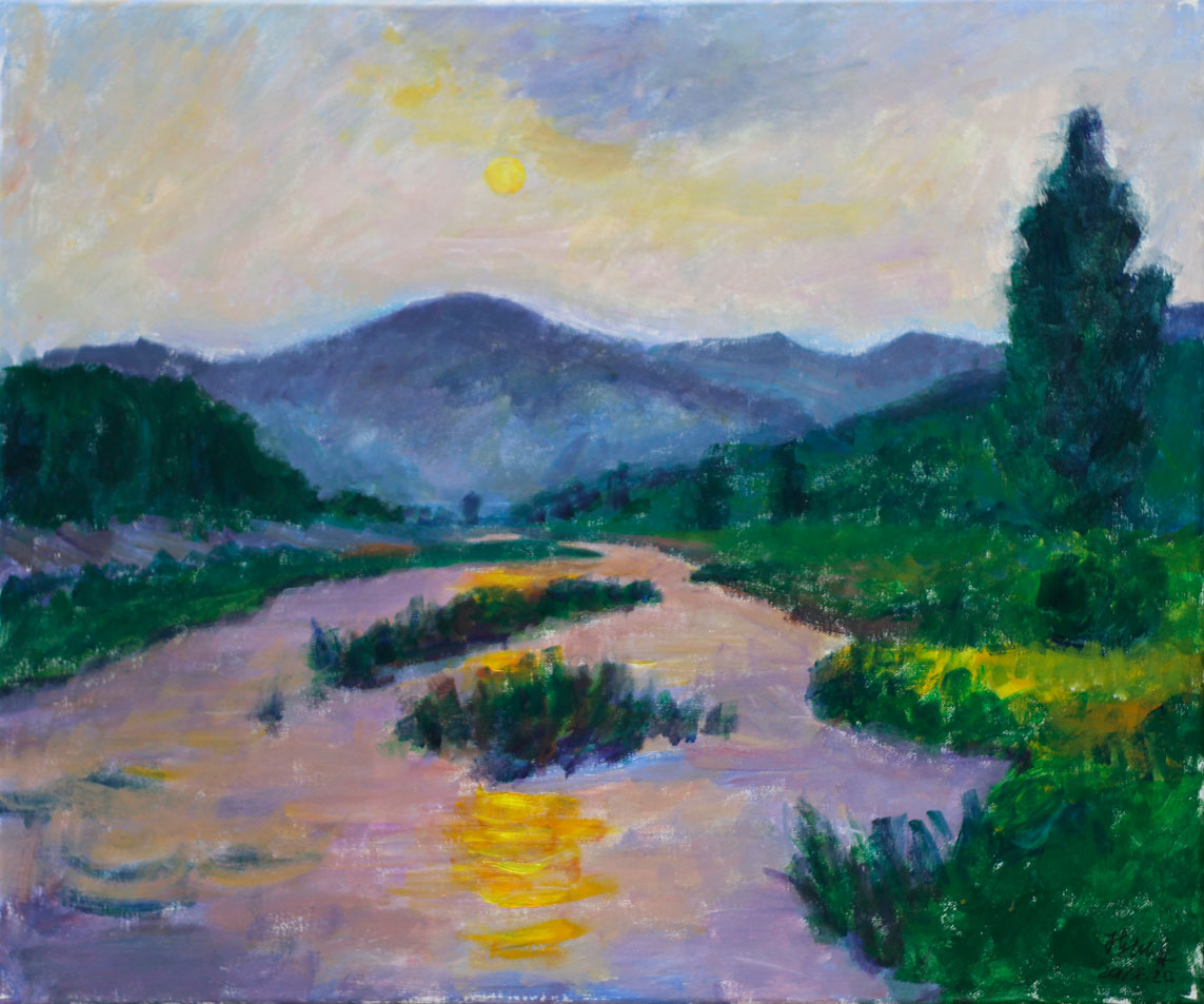 丙烯画初学者用什么颜料,丙烯颜料和丙烯画颜料是一样的吗