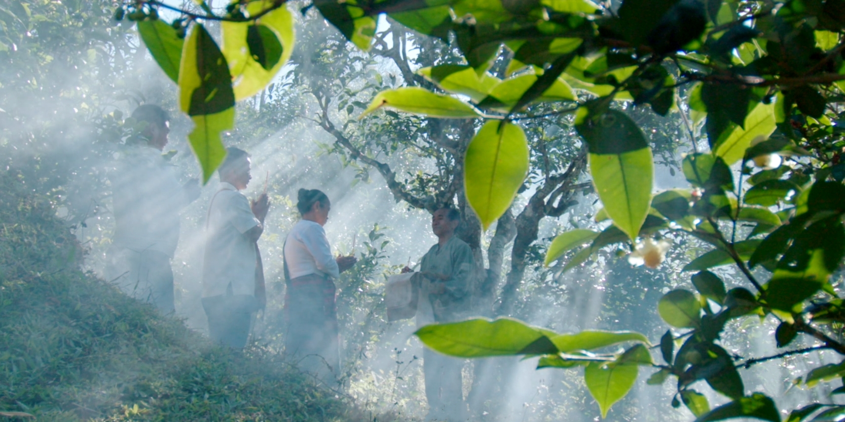 陈绪武,从纸媒到短视频,20年逐梦前行