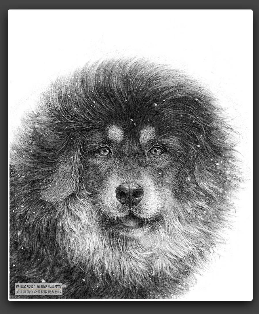 动物素描毛发细节教程,6-12岁儿童素描课程画动物