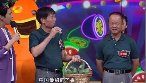 桂七香芒乃芒果之首,桂七香芒和凯特芒果哪个好吃