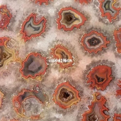 珊瑚玉有什么用,珊瑚玉怎么选