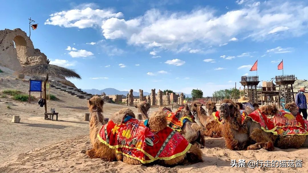 超出预期的大西北第一站，我要吹爆银川！吃玩住行全含