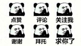 初中生一定要掌握的800条成语,一年级初学必背100个成语