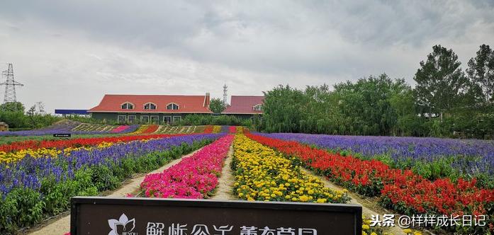 一家三口新疆伊犁旅游,自驾游霍尔果斯路线攻略