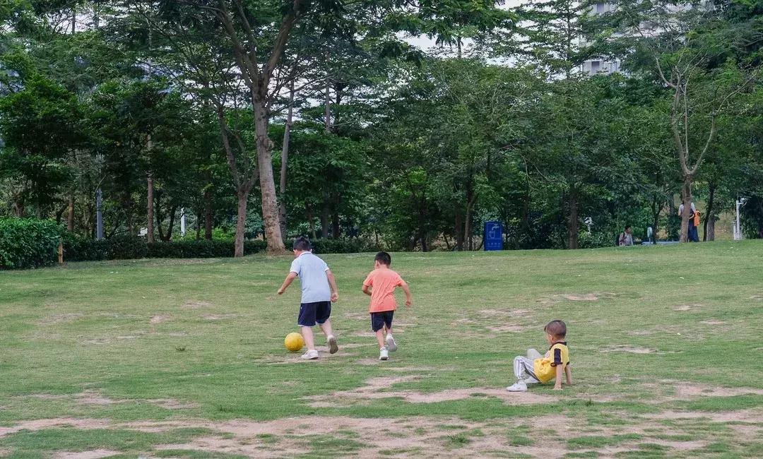 民治片区有未来吗,民治有什么特色
