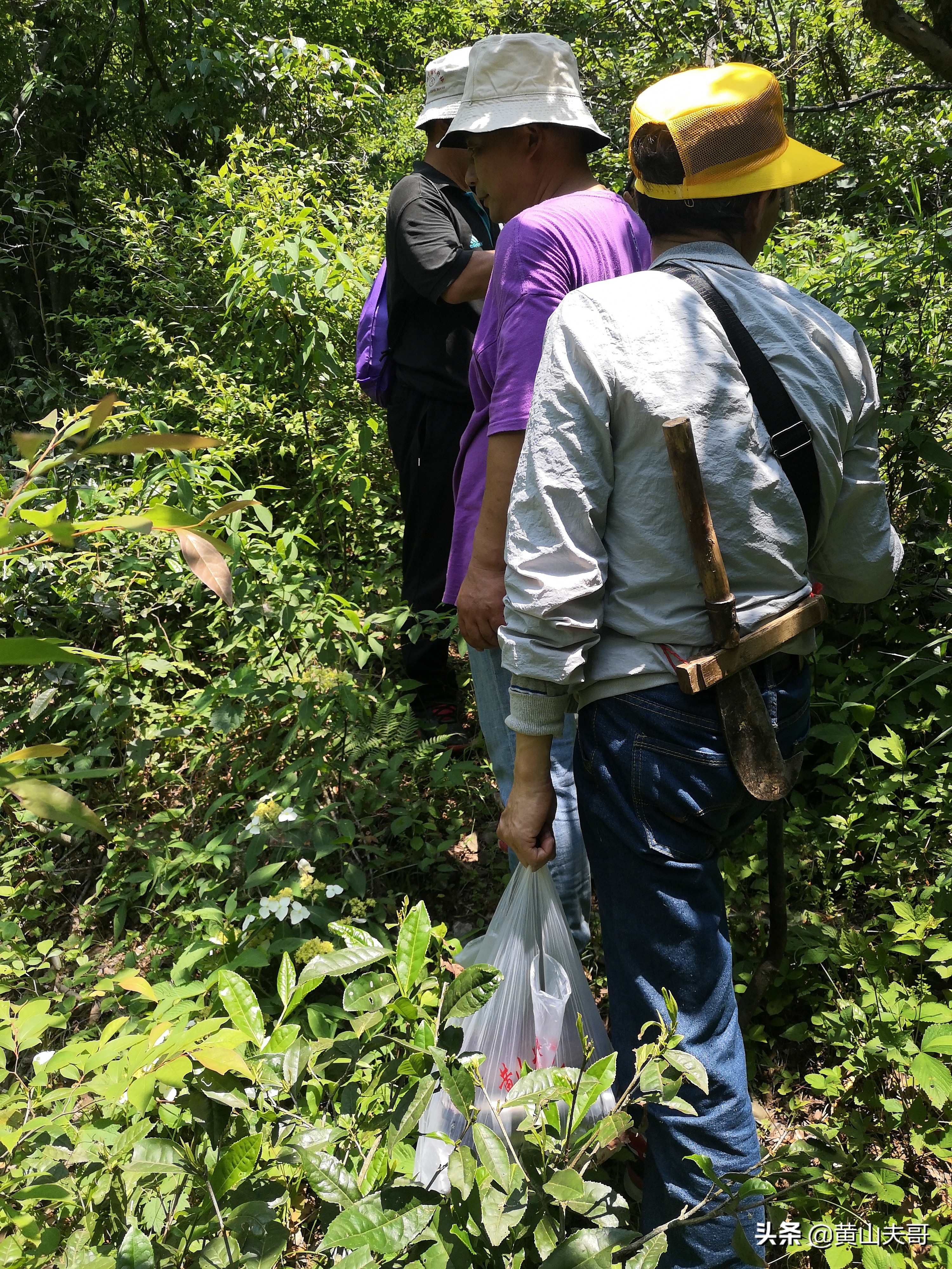 黄山最吓人景区,黄山爬山最吓人的地方