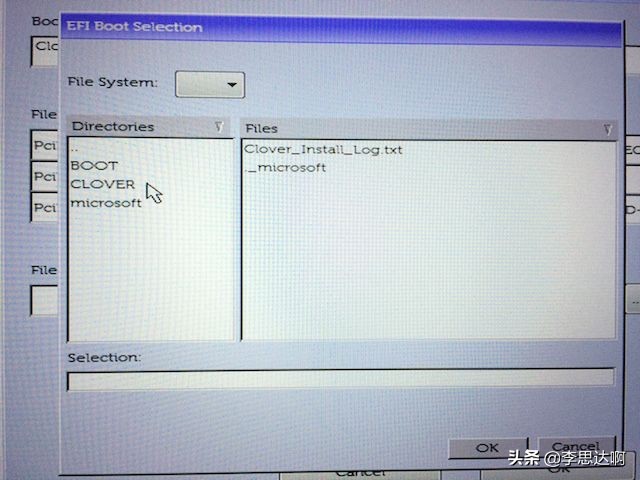 黑苹果安装软件要注意什么,黑苹果安装哪个版本合适