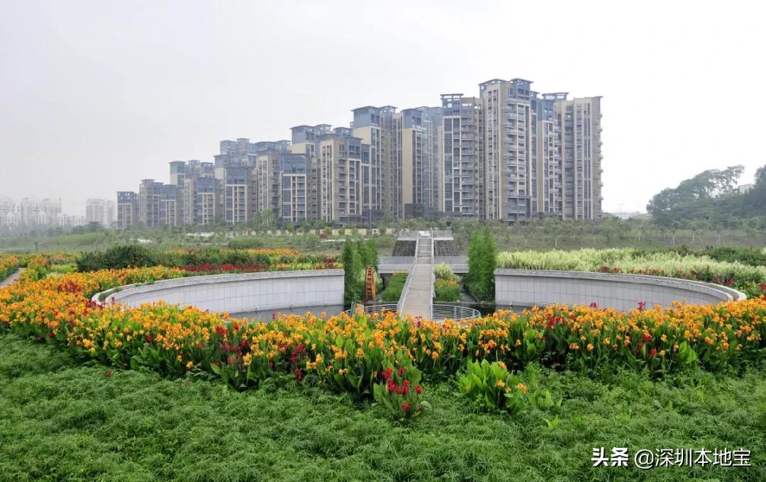 深圳免费的景点有哪些地方,深圳有哪些免费又好玩的地方景点