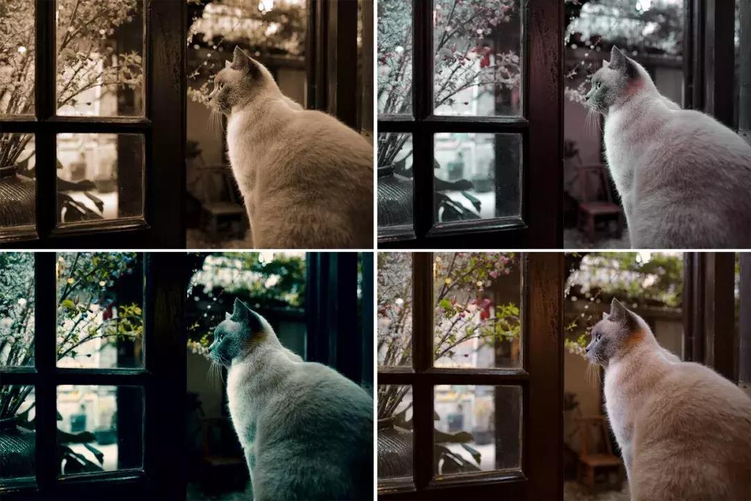 ps图片滤镜怎么调色好看,ps利用调色命令给照片调色案例