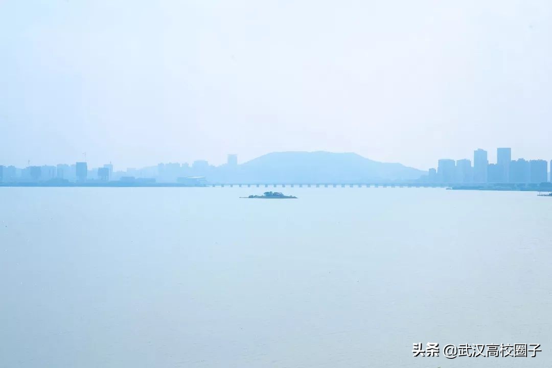 爸妈我想回家视频,爸妈我想回家了原视频