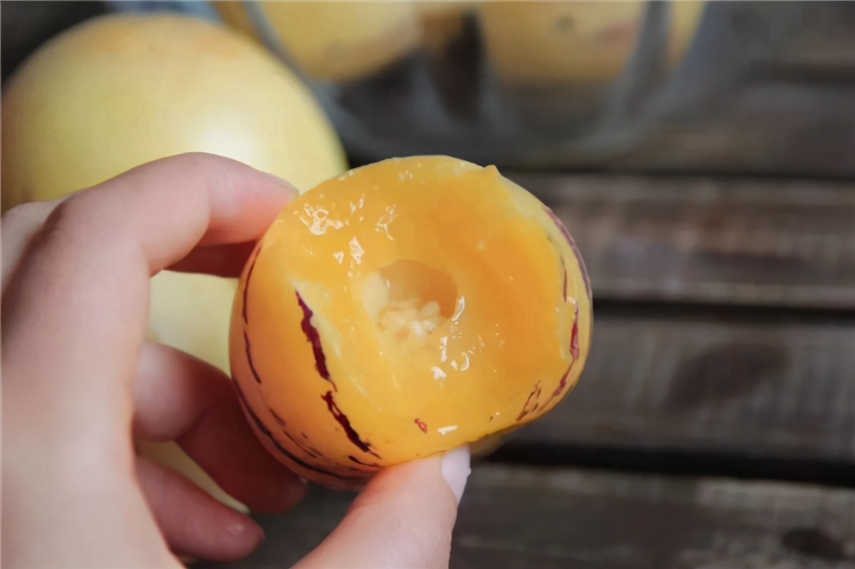 茄子引进中国的历史,茄子从哪个国家引进中国的