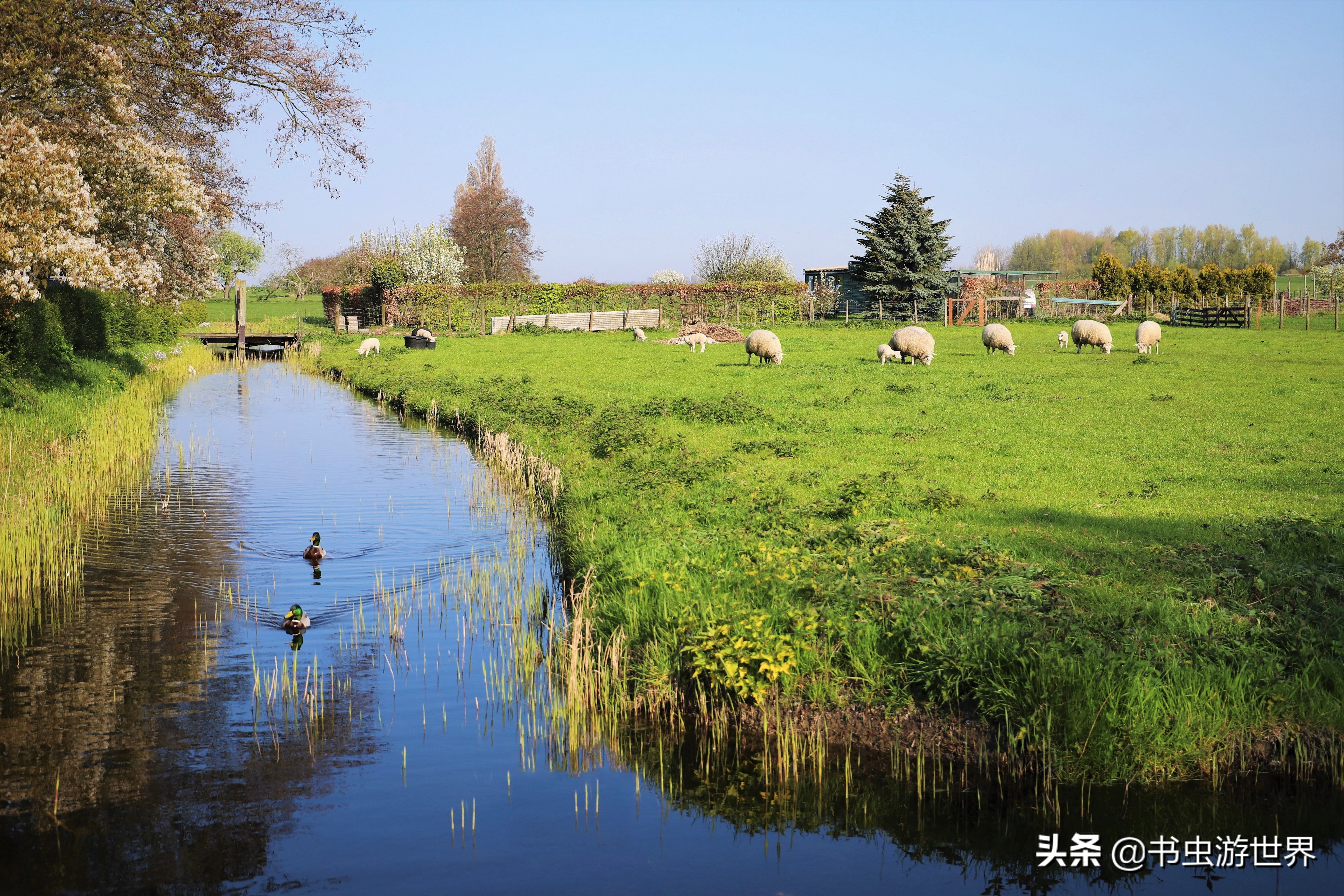 红顶小木屋,红顶绿墙小木屋