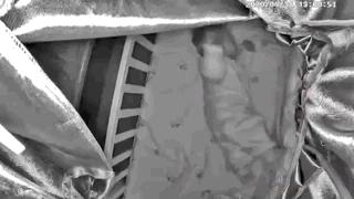 宝宝经常趴着睡是怎么回事,两岁的孩子一直趴着睡有危害吗