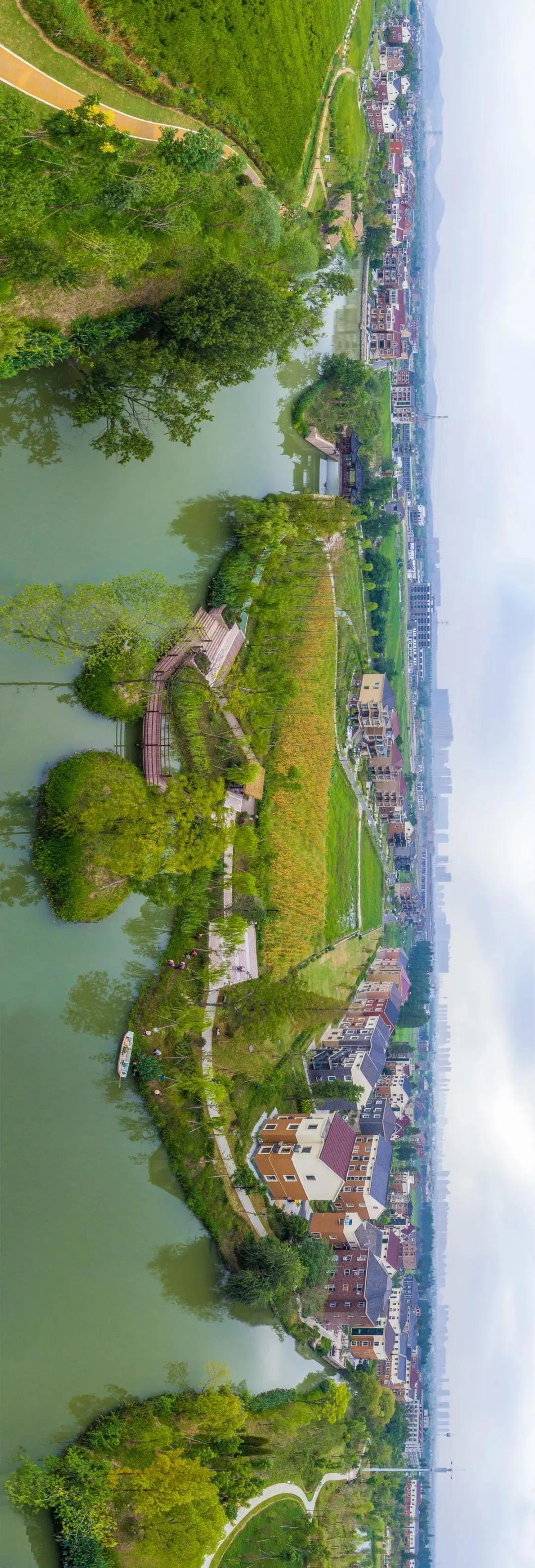 杭州高国飞公示,高国飞西湖区