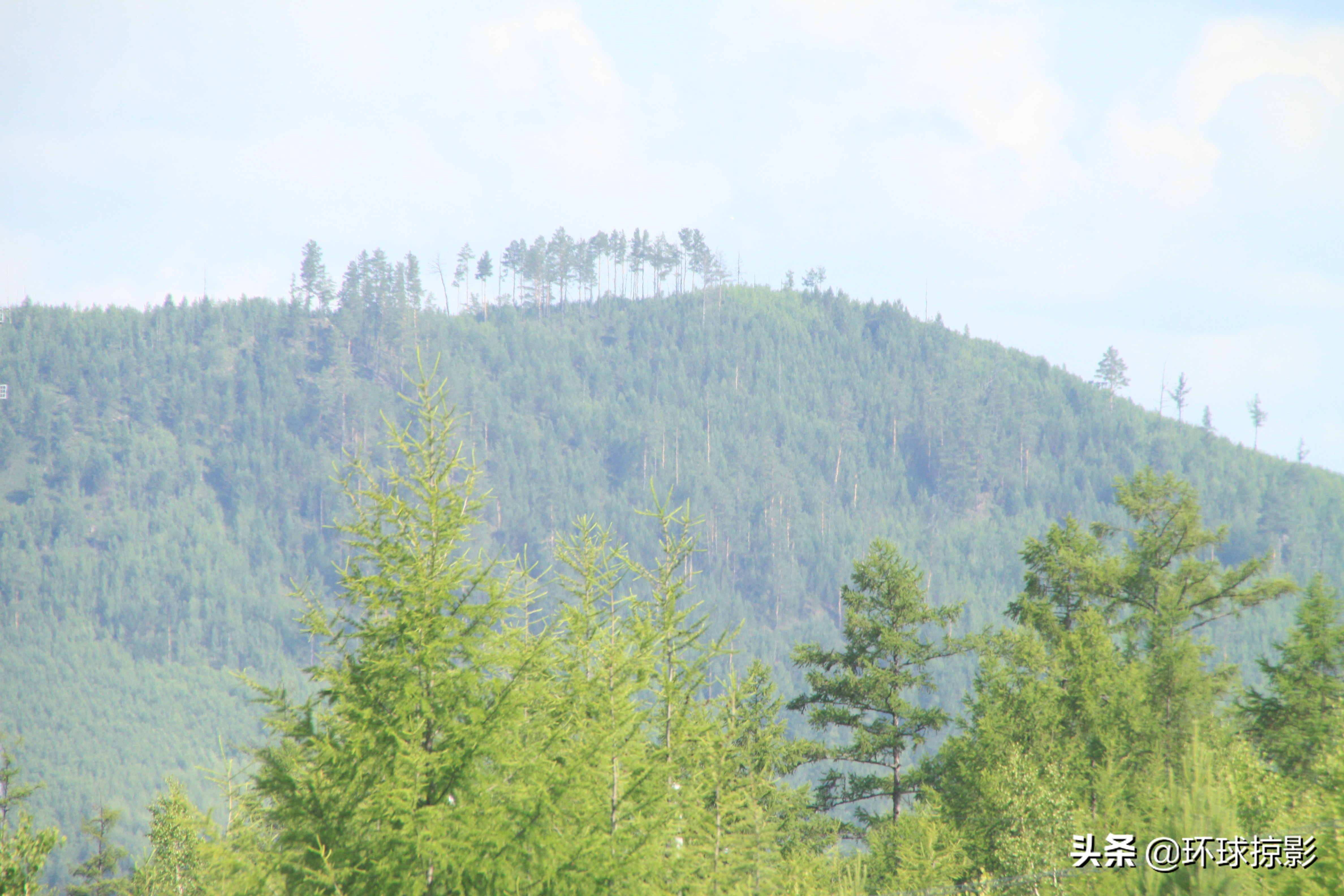8月份漠河,呼伦贝尔8月中旬