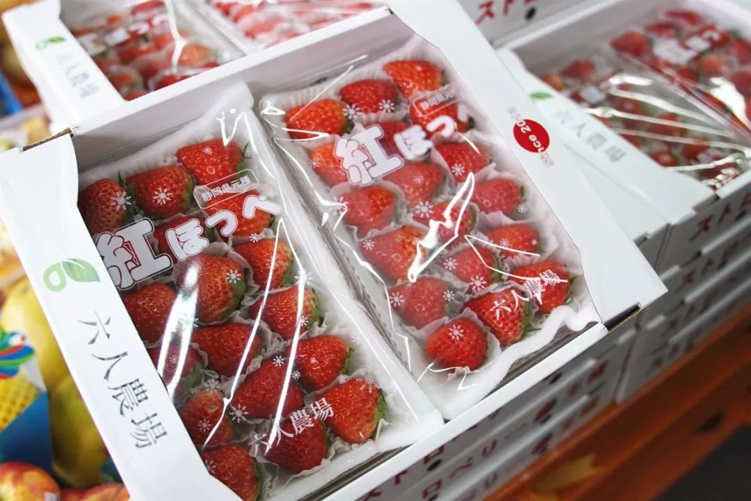 直端零食店“老巢”！好逛到两只手都拿不下