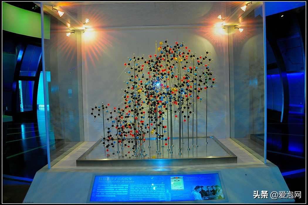 上海科技馆游玩攻略,上海科技馆亲子游玩攻略