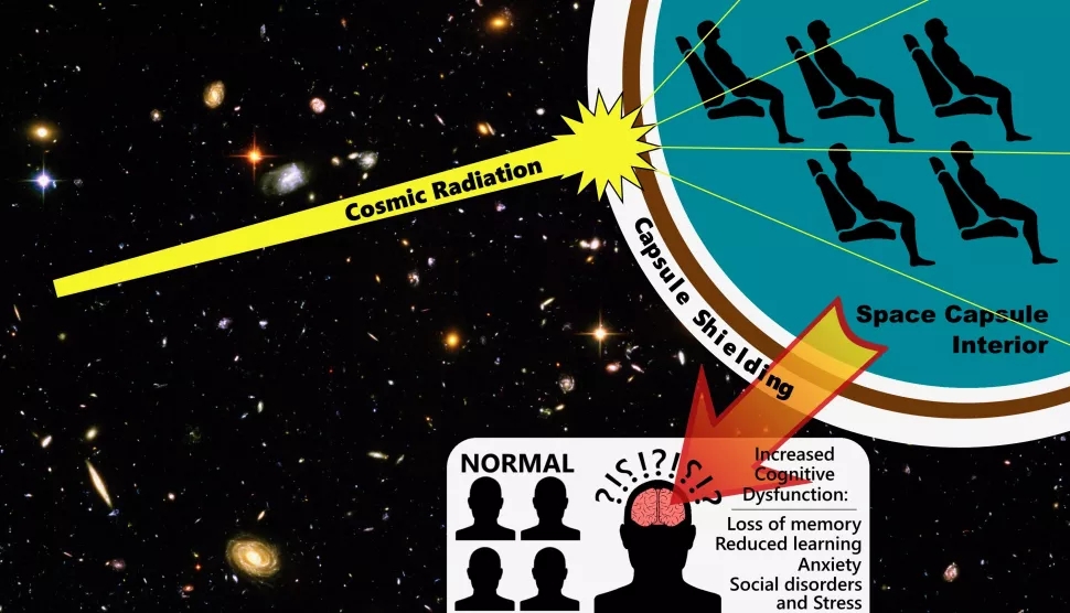 女航天员神舟13号,女航天员进入空间站要吃药吗