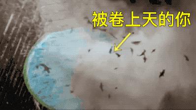 山东5款口感不错的白酒，可惜日渐没落，年轻的本地人知道的不多