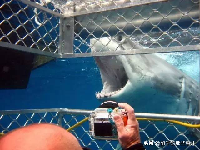 澳大利亚有哪些旅游胜地,澳大利亚有什么好玩的免费景点
