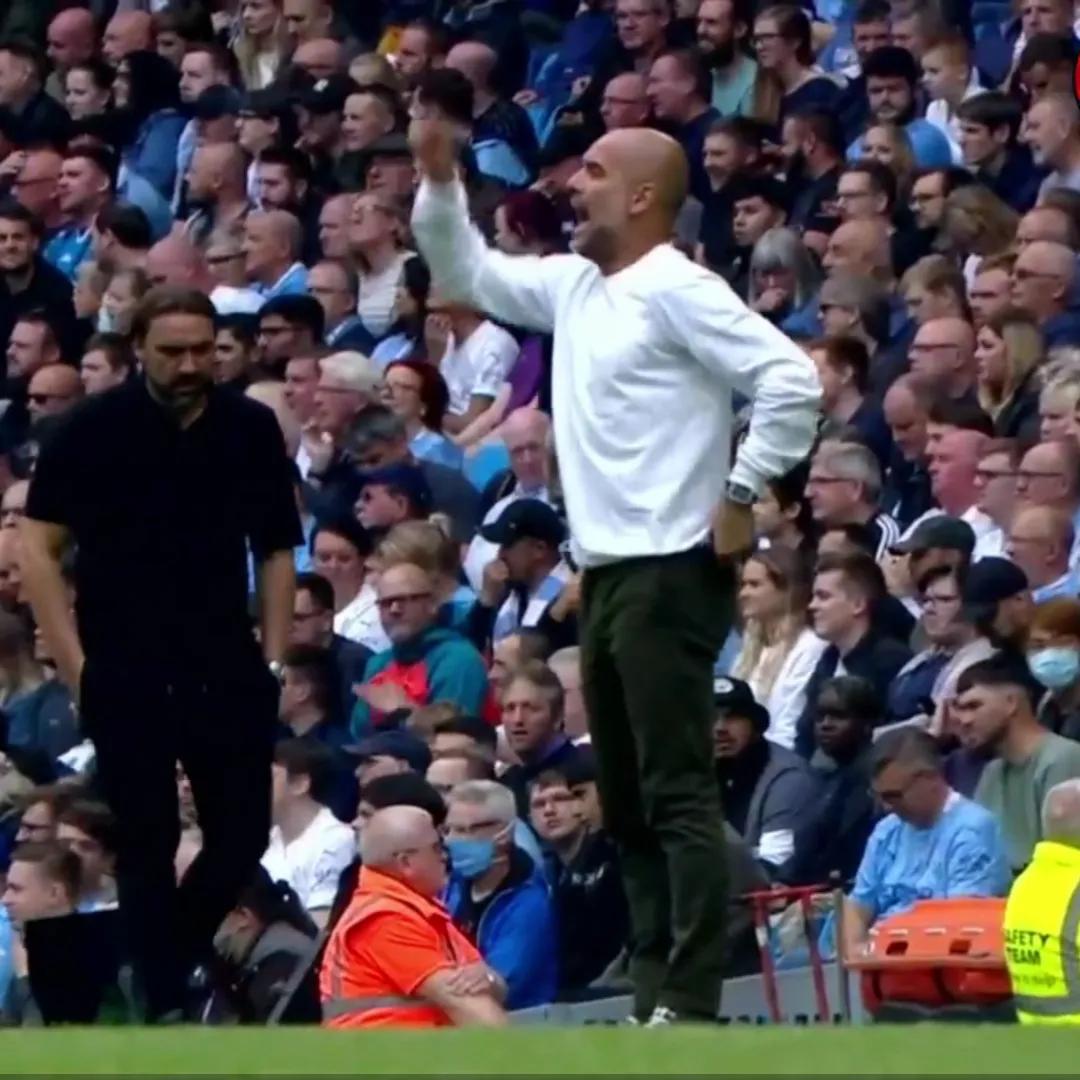 励志餐馆女老板,诺维奇女老板